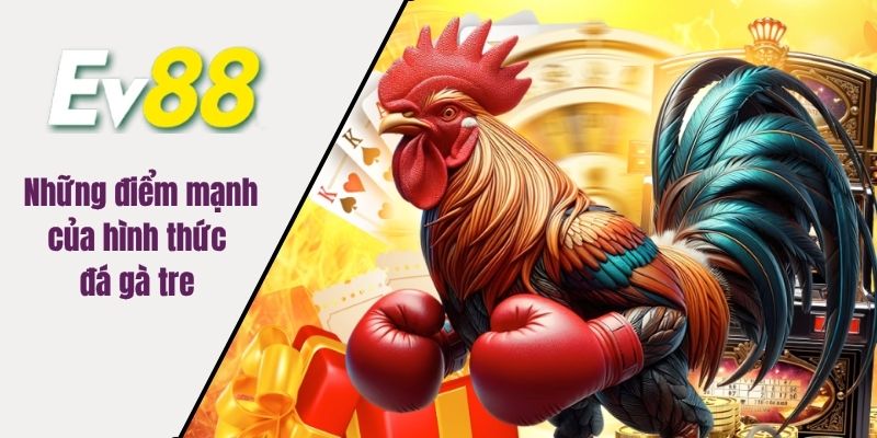 Những điểm mạnh của hình thức đá gà tre 