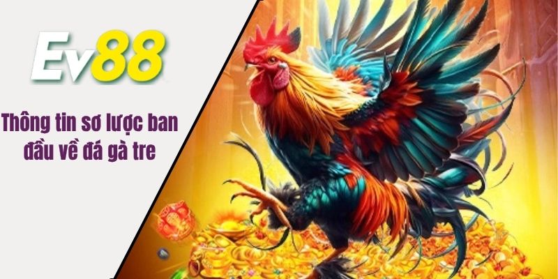Thông tin sơ lược ban đầu về đá gà tre