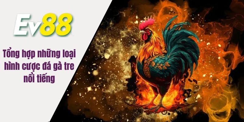 Tổng hợp những loại hình cược đá gà tre nổi tiếng