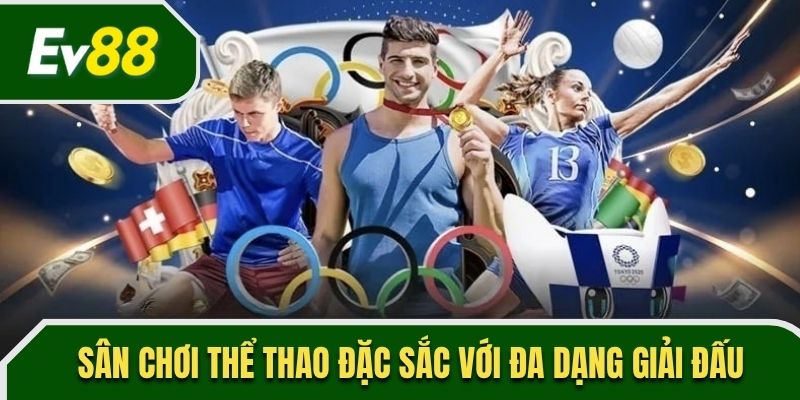 Sân chơi thể thao đặc sắc với đa dạng giải đấu